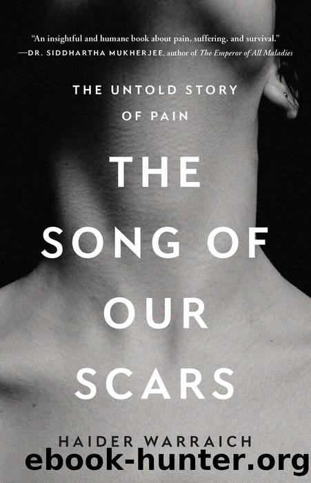 The Song of Our Scars by Haider Warraich