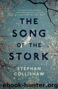The Song of the Stork by Stephan Collishaw