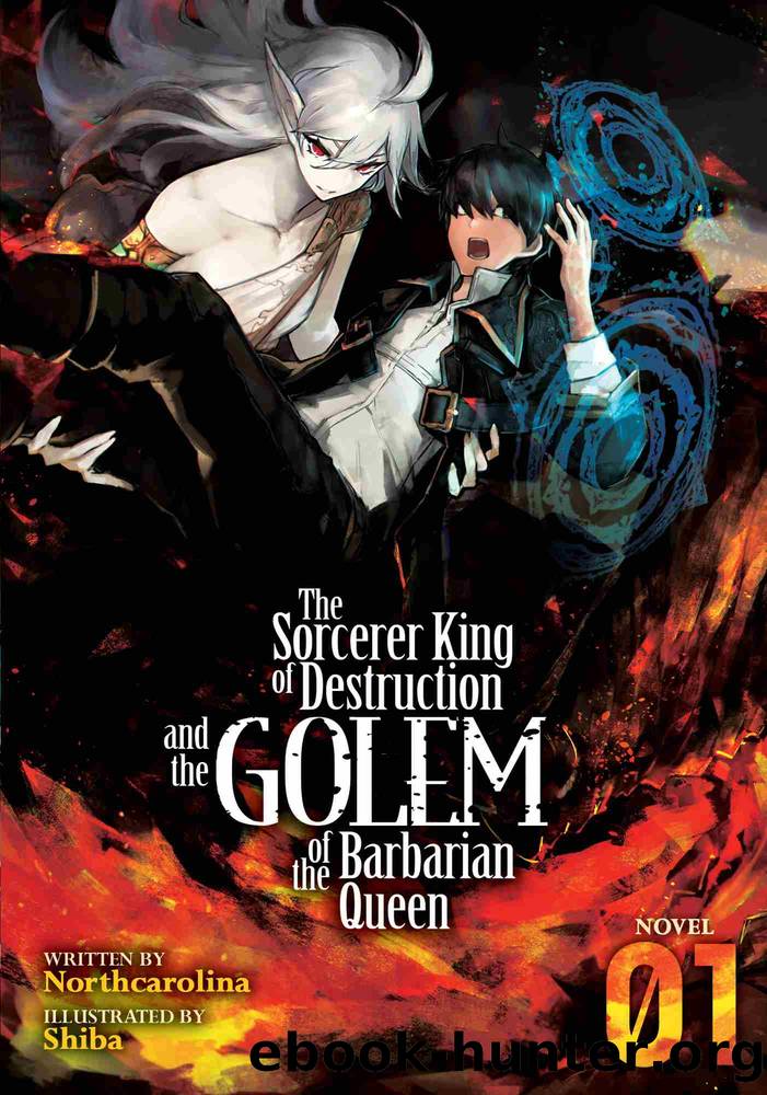 The Sorcerer King of Destruction and the Golem of the Barbarian Queen (Light Novel), Volume 1 by Northcarolina