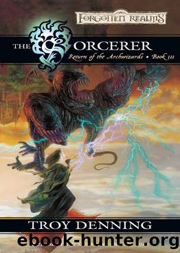 The Sorcerer: Return of the Archwizards, Book III (The Return of the Archwizards 3) by Troy Denning