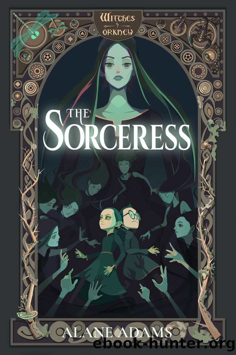 The Sorceress by Alane Adams