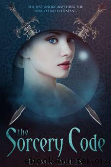 The Sorcery Code by Dima Zales & Anna Zaires