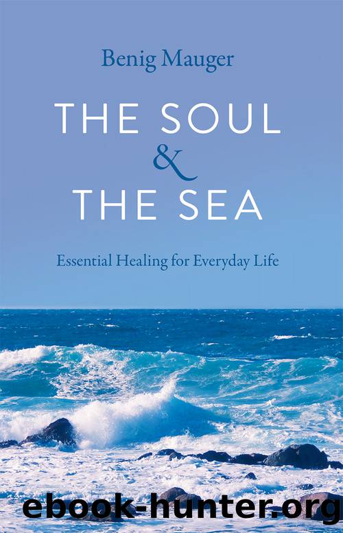The Soul & the Sea by Benig Mauger