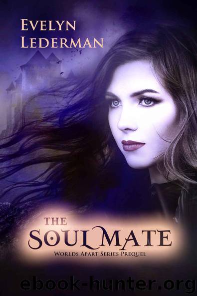 The Soul Mate by Evelyn Lederman