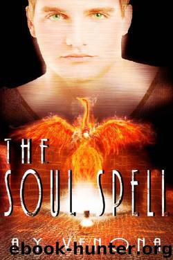 The Soul Spell: Fae Academy (Set in Omega Curse Universe) by A.Y. Venona