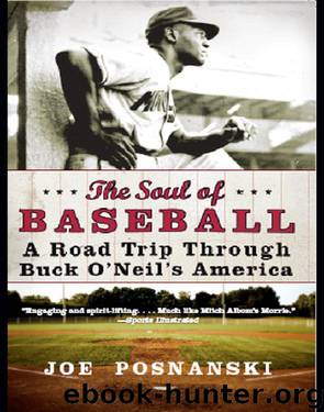 The Soul of Baseball by Joe Posnanski