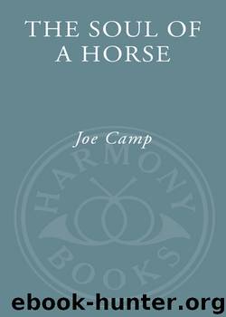 The Soul of a Horse by Joe Camp