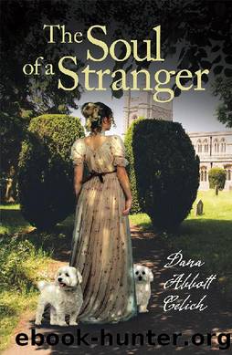 The Soul of a Stranger by Dana Abbott Celich