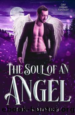The Soul of an Angel: Gay Urban Fantasy (Supernatural Affairs Book 5) by F.N. Manning