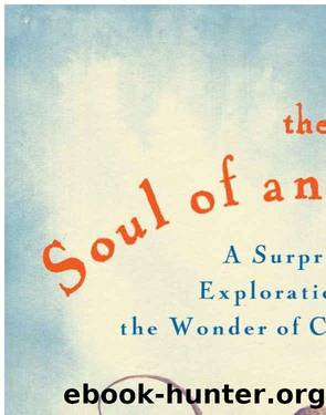 The Soul of an Octopus by Unknown