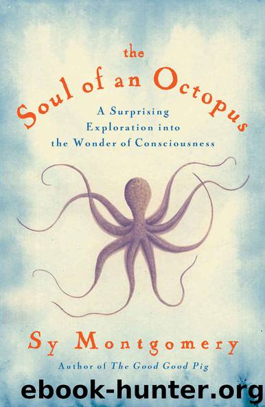 The Soul of an Octopus: A Surprising Exploration into the Wonder of Consciousness by Sy Montgomery