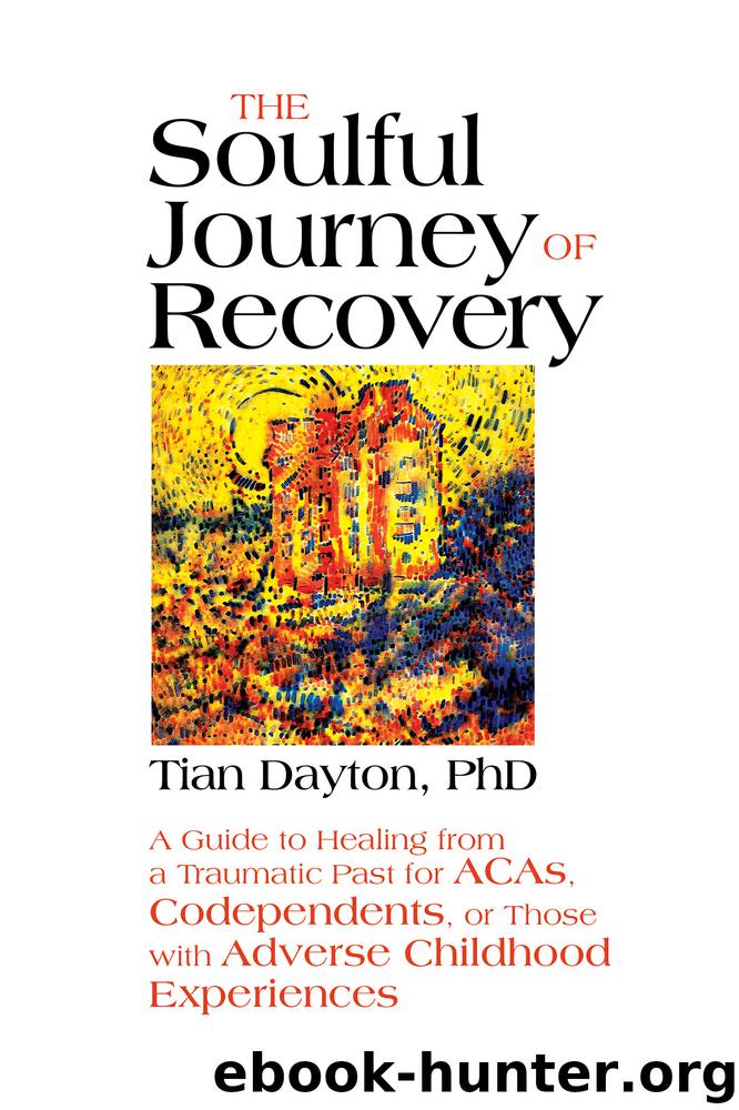 The Soulful Journey of Recovery by Tian Dayton