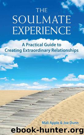 The Soulmate Experience: A Practical Guide to Creating Extraordinary Relationships by Mali Apple & Joe Dunn