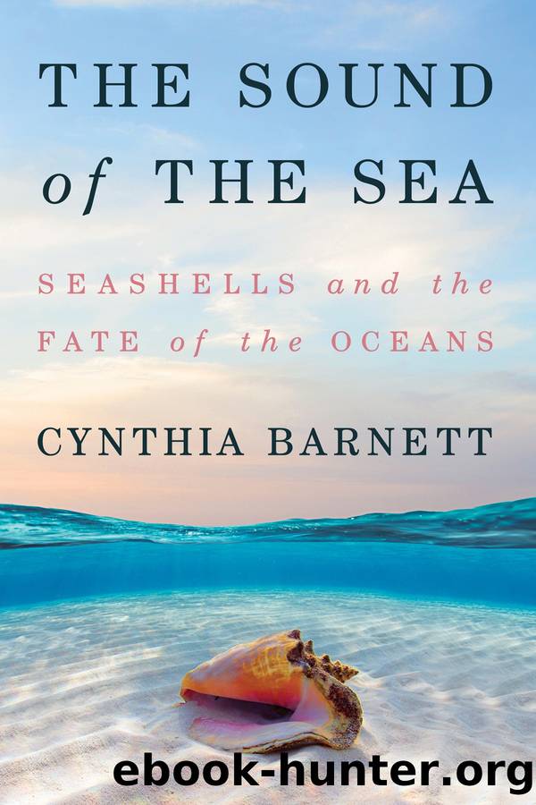 The Sound of the Sea: Seashells and the Fate of the Oceans by Cynthia Barnett