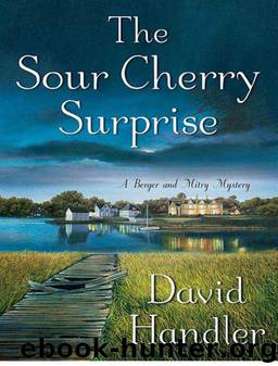 The Sour Cherry Surprise by David Handler