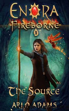 The Source: A LitRPG Fantasy Adventure (Enora Fireborne Book 1) by Arlo Adams