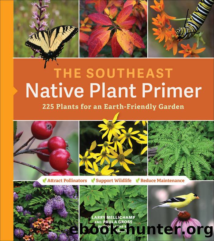 The Southeast Native Plant Primer by Larry Mellichamp
