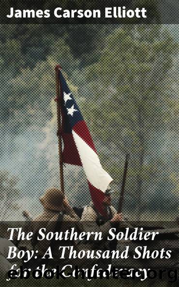 The Southern Soldier Boy: A Thousand Shots for the Confederacy by James Carson Elliott