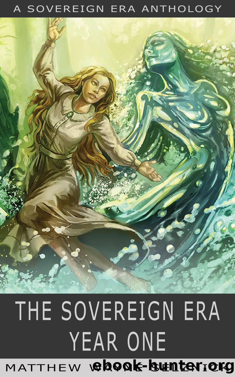 The Sovereign Era by Matthew Wayne Selznick & Matthew Wayne Selznick