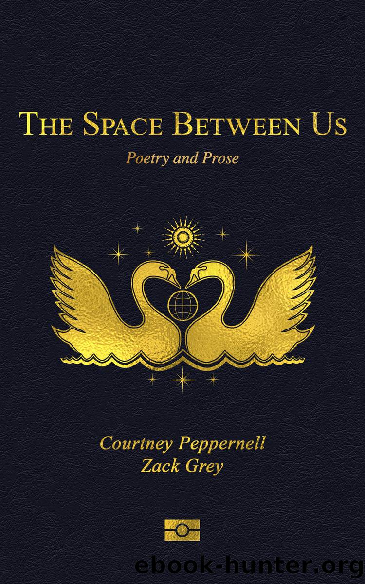 The Space Between Us by Courtney Peppernell and Zack Grey