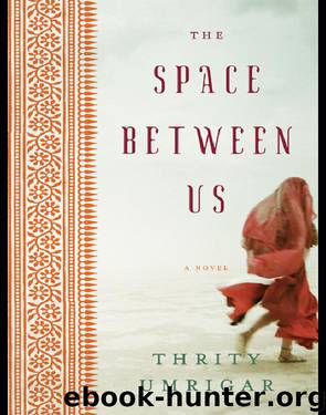 The Space Between Us by Thrity Umrigar