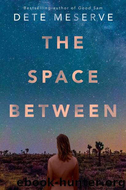 The Space Between by Dete Meserve