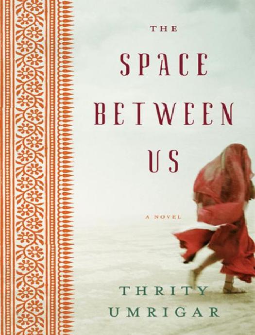 The Space between Us : A Novel by Thrity Umrigar