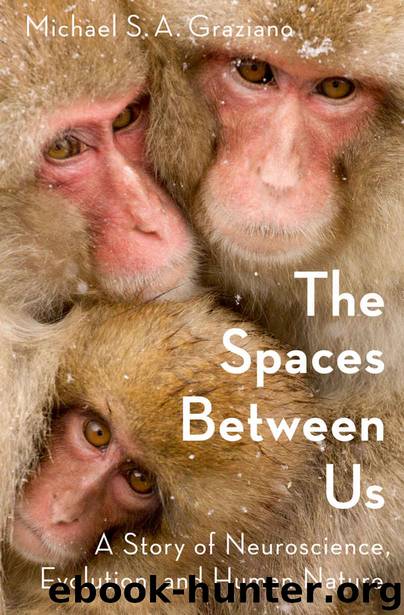 The Spaces Between Us by Michael Graziano