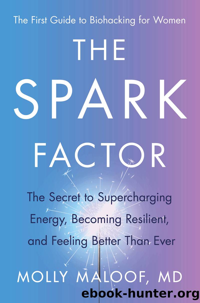 The Spark Factor by Dr. Molly Maloof