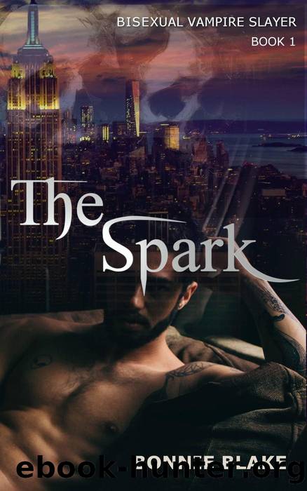 The Spark by Bonnie Blake