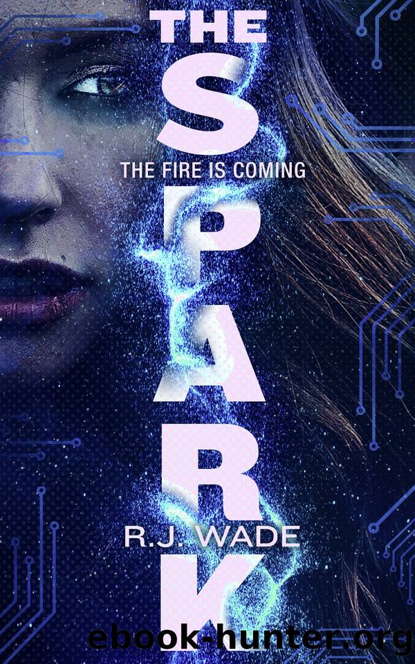 The Spark by R. J. Wade