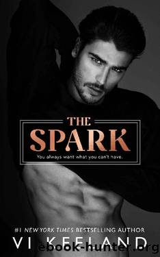 The Spark by Vi Keeland