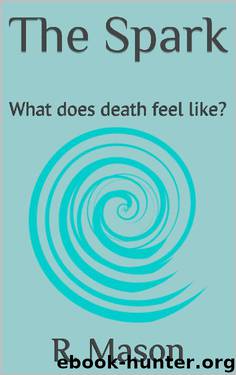 The Spark: What does death feel like? by R. Mason