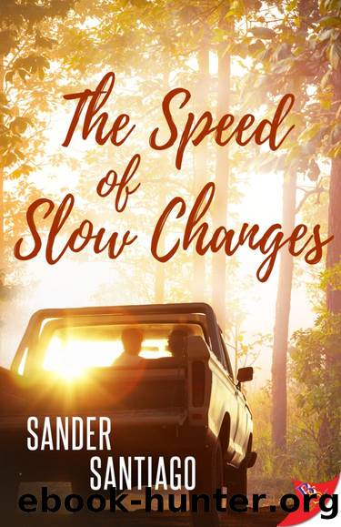 The Speed of Slow Changes by Sander Santiago