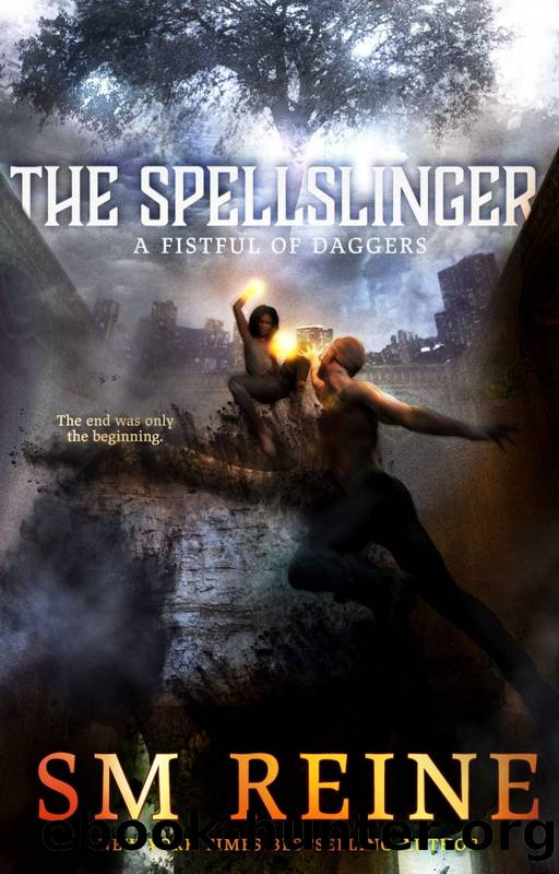 The Spellslinger by SM Reine