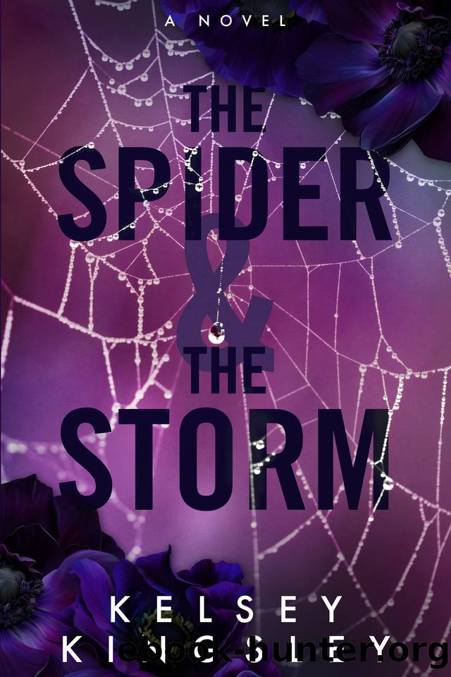 The Spider & the Storm by Kelsey Kingsley