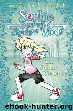 The Spider Gnomes by Linda Chapman