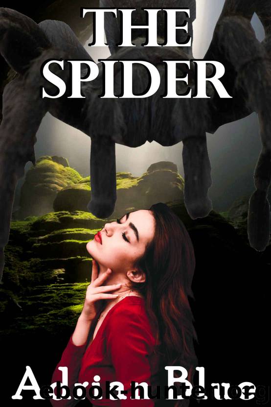 The Spider by Adrian Blue