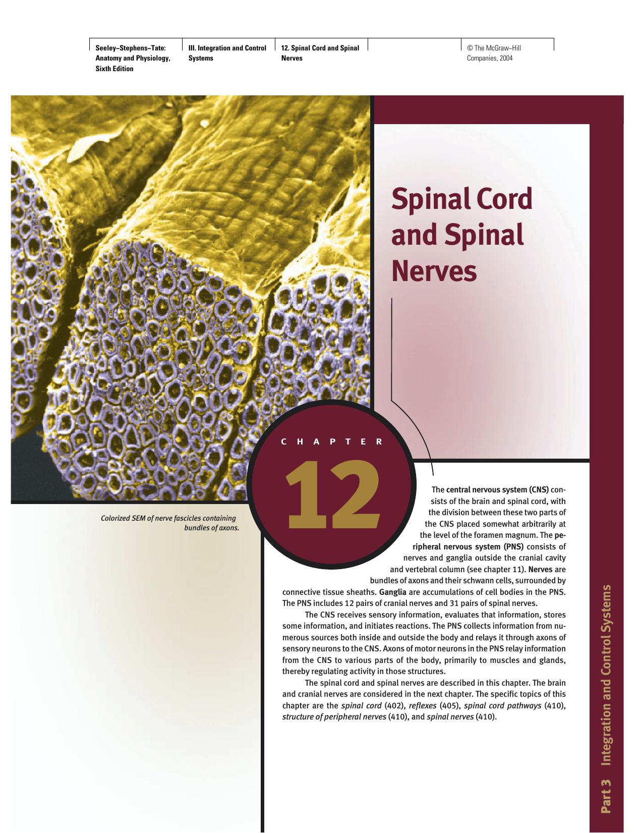 The Spinal Cord A Christopher and Dana Reeve Foundation Text and Atlas by pdf by Unknown