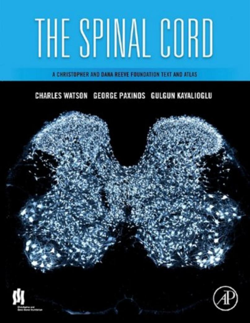 The Spinal Cord: A Christopher and Dana Reeve Foundation Text and Atlas by Charles Watson George Paxinos Gulgun Kayalioglu