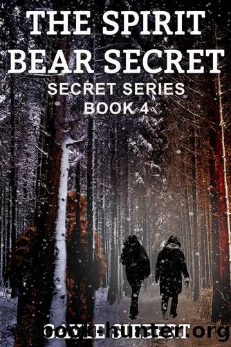 The Spirit Bear Secret by Gayle Siebert