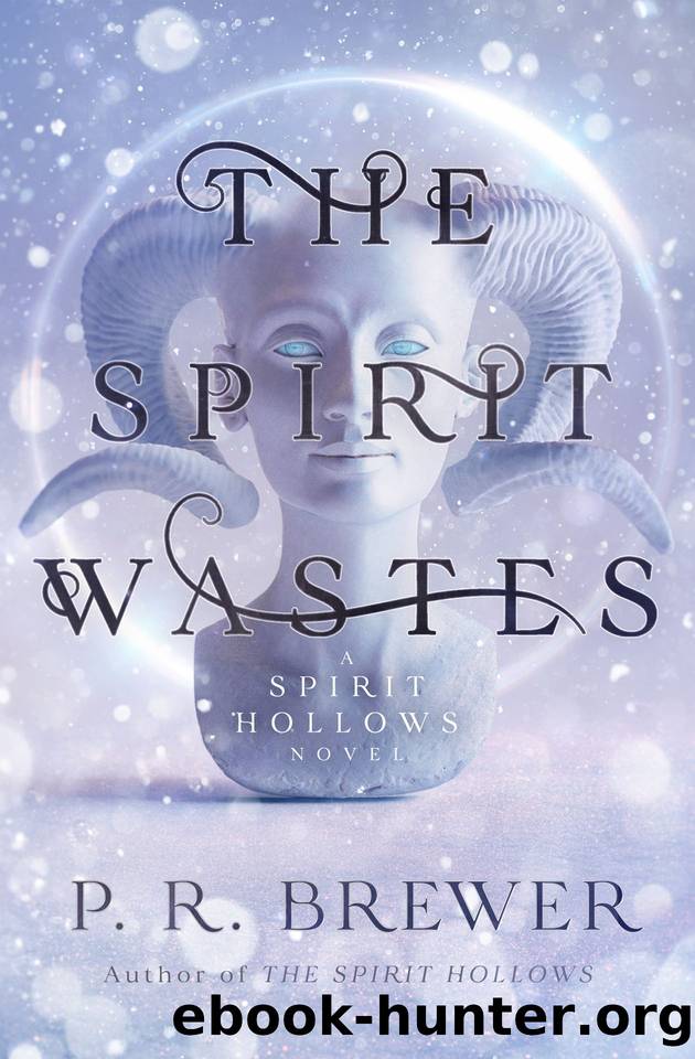 The Spirit Wastes (The Spirit Hollows Book 2) by Brewer P.R