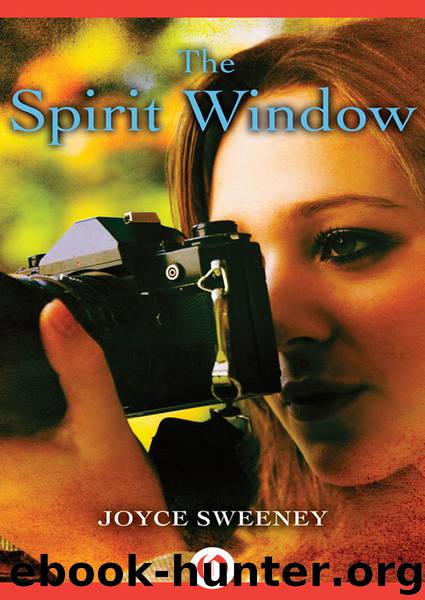 The Spirit Window by Joyce Sweeney