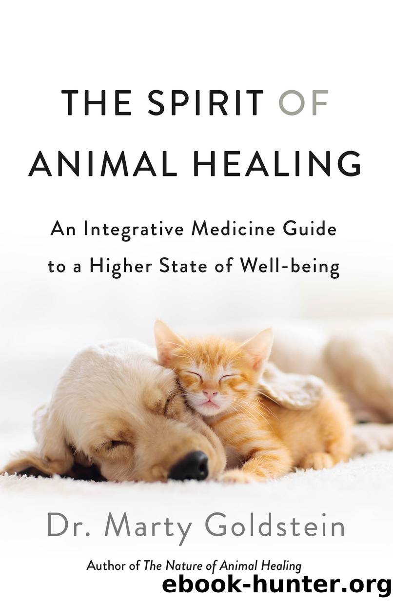 The Spirit of Animal Healing by Marty Goldstein