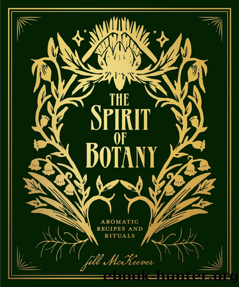 The Spirit of Botany by Jill McKeever