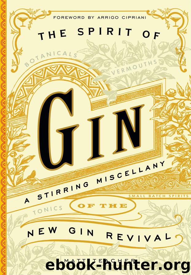 The Spirit of Gin by Matt Teacher