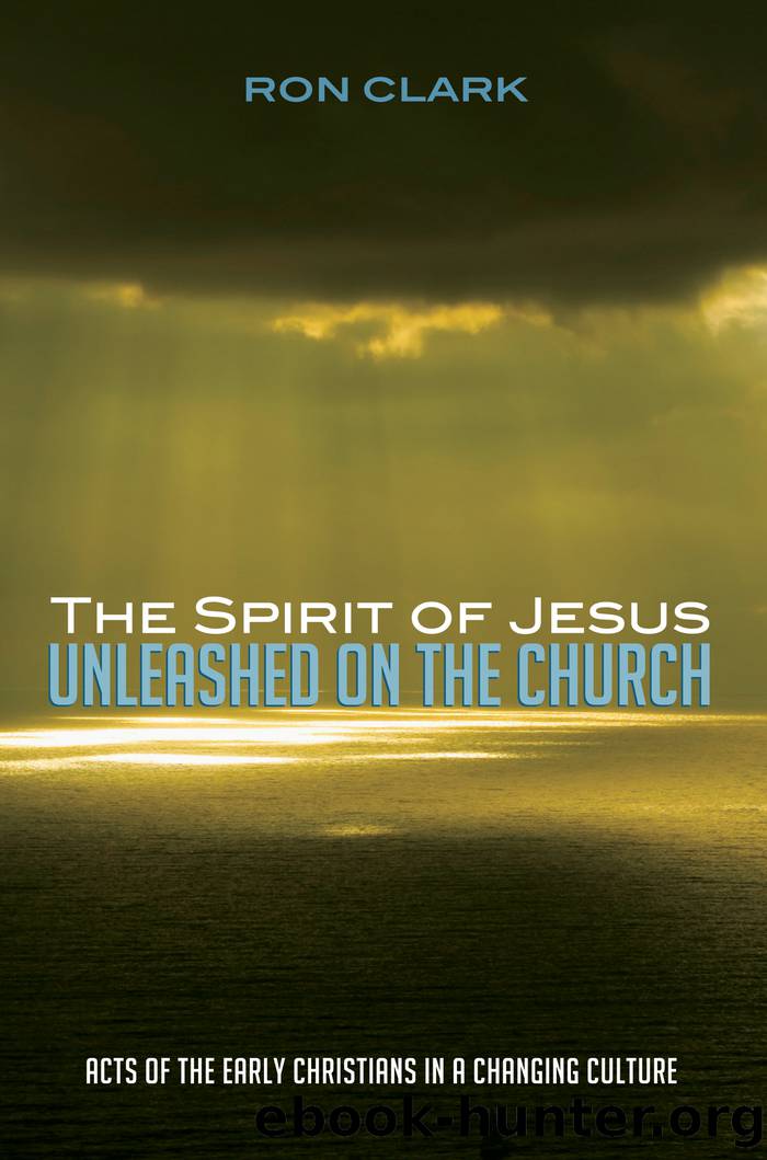 The Spirit of Jesus Unleashed on the Church by Clark Ron;