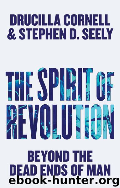 The Spirit of Revolution by Drucilla Cornell & Stephen D. Seely