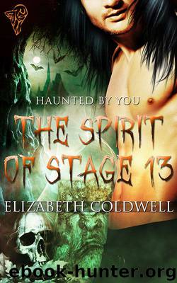 The Spirit of Stage 13 by Elizabeth Coldwell