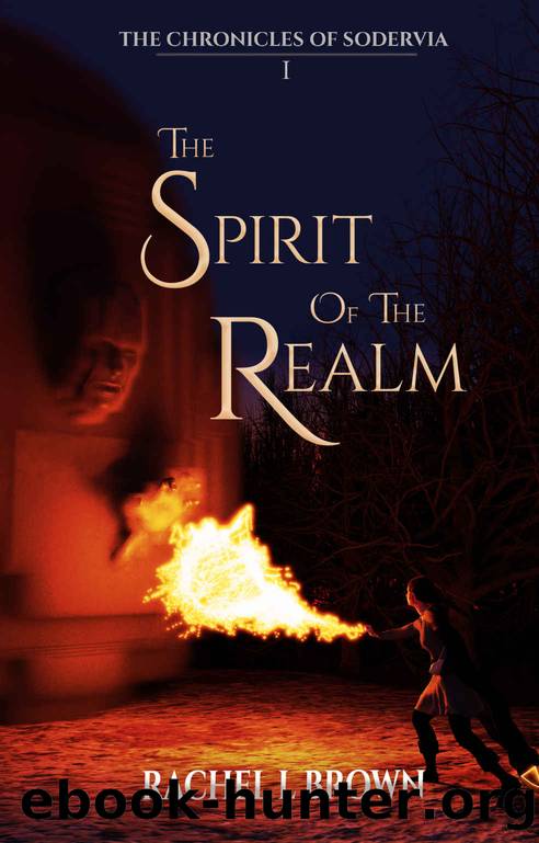 The Spirit of the Realm by Rachel L Brown